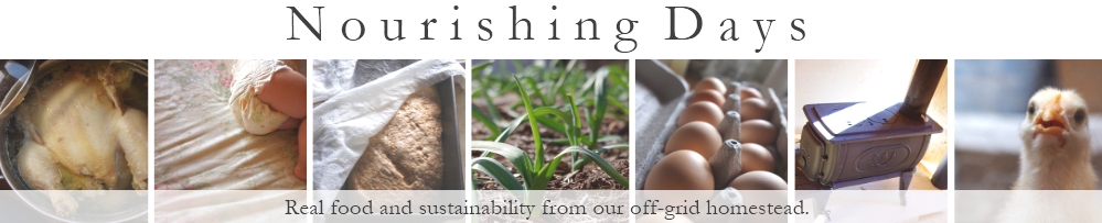 Nourishing Days