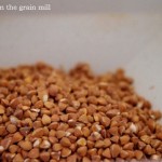 buckwheat