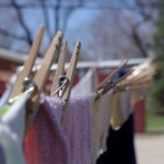 clothes