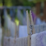 clothespin