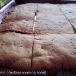 crackersblog