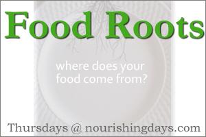 Introducing: Food Roots