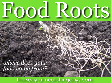 Food Roots – June 11