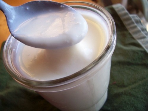 How I Am Making Yogurt Right Now: The Cooler Method