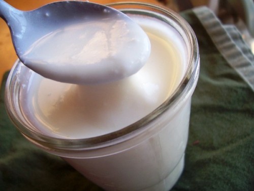 How To Make Homemade Yogurt - The Frugal Girl