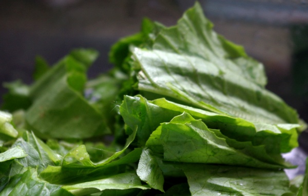 Seven Main Dish Salads for a Large Lettuce Harvest