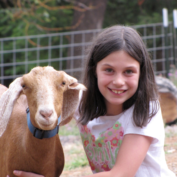 Should We Get a Goat or a Cow? One