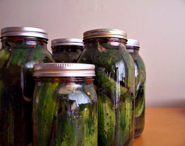 Six Tips For Making Great Lacto-Fermented Dill Pickles