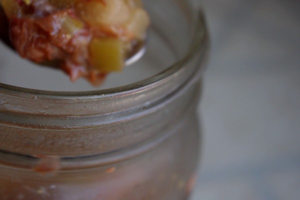 Lacto-Fermented Rhubarb Chutney