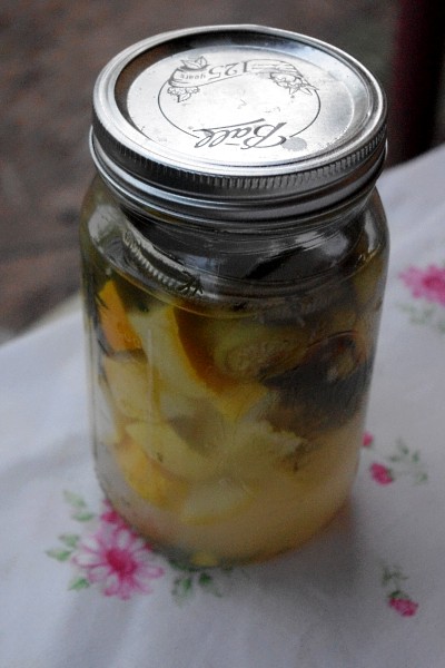 Lacto-Fermented Summer Squash