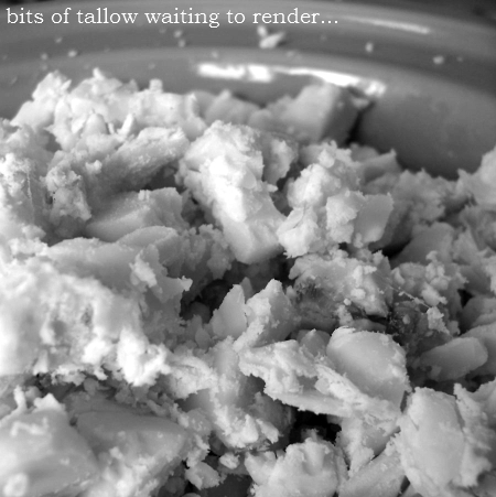 How to Render Tallow or Lard (and how the science is in favor of animal fats)