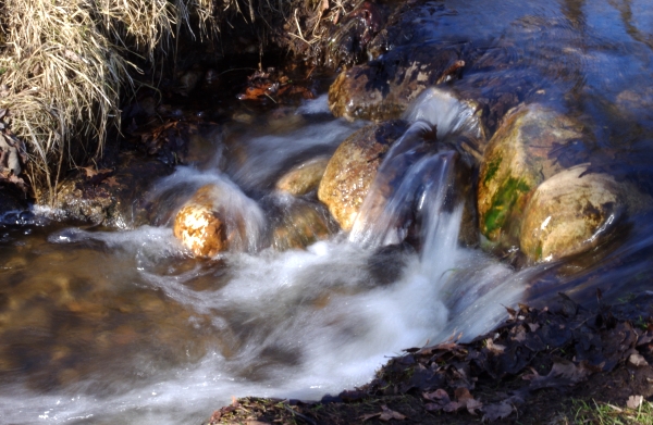 How I Make Water Kefir (aka homemade soda)