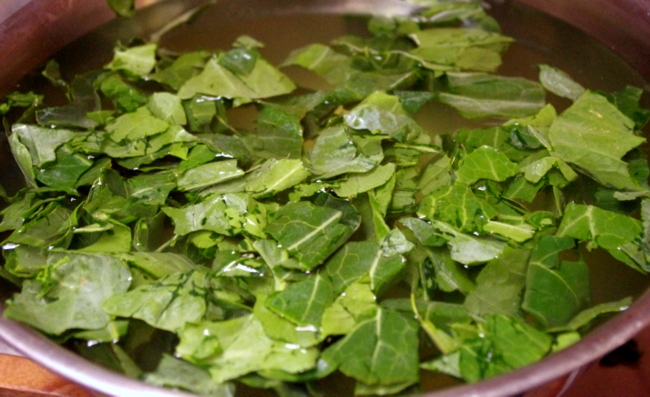 Growing, Cooking, and Eating Collard Greens
