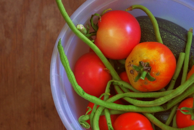 A Harvesting Perspective on the Heat