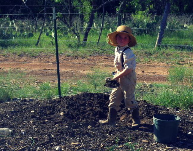 Gardening When It Counts: a review