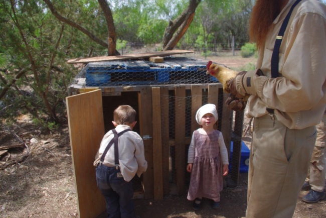 The Pallet Chick Nursery