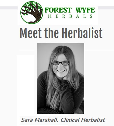 An Interview with Sara of Forest Wyfe Herbals