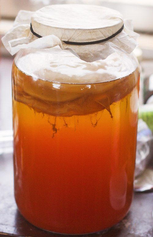 kombucha-backlit