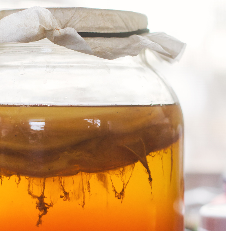 kombucha-closeup