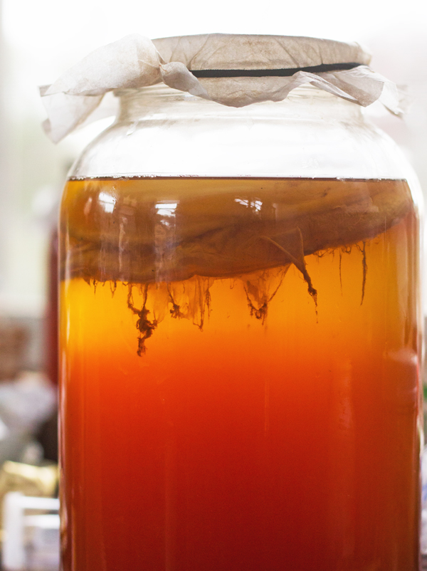 Favorite Fermentation Equipment Kombucha Nourishing Days