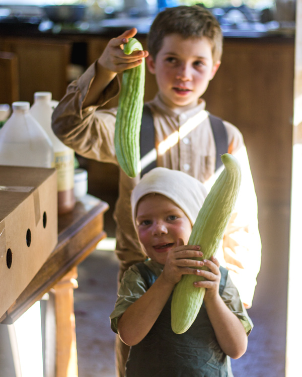 cucumbers