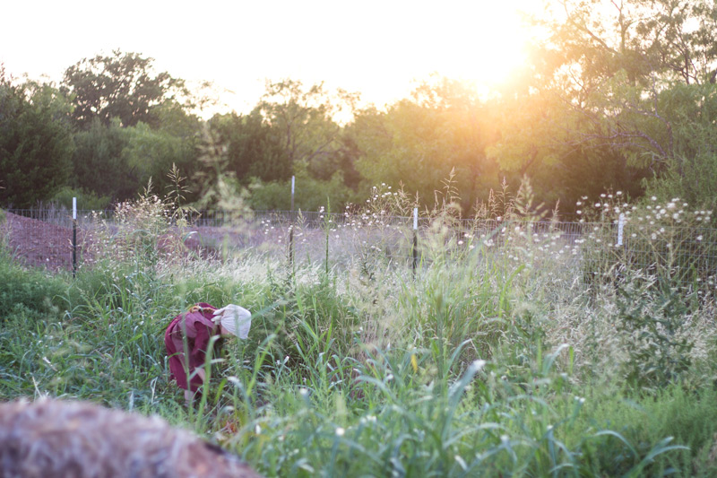 june-garden-annie