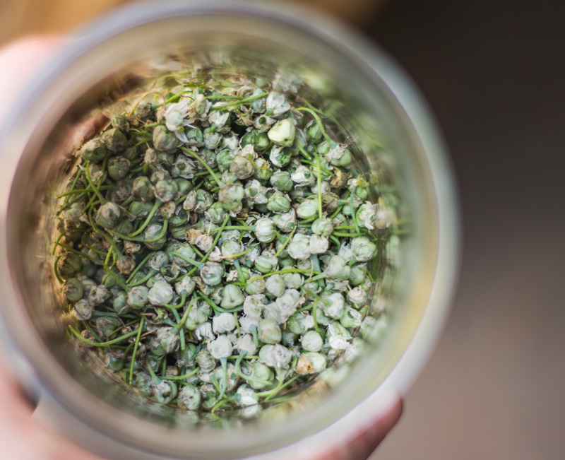 onion-bud-capers1