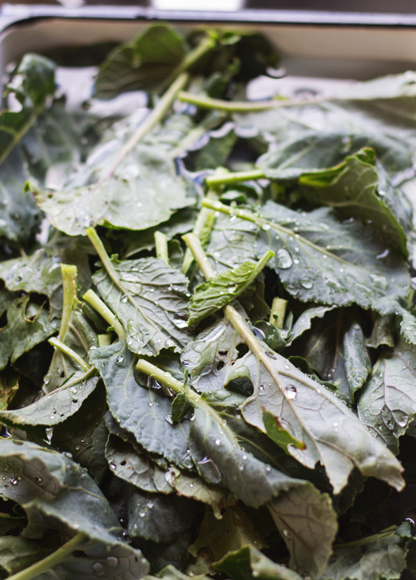 socca-collards-water