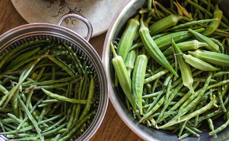 daybeans