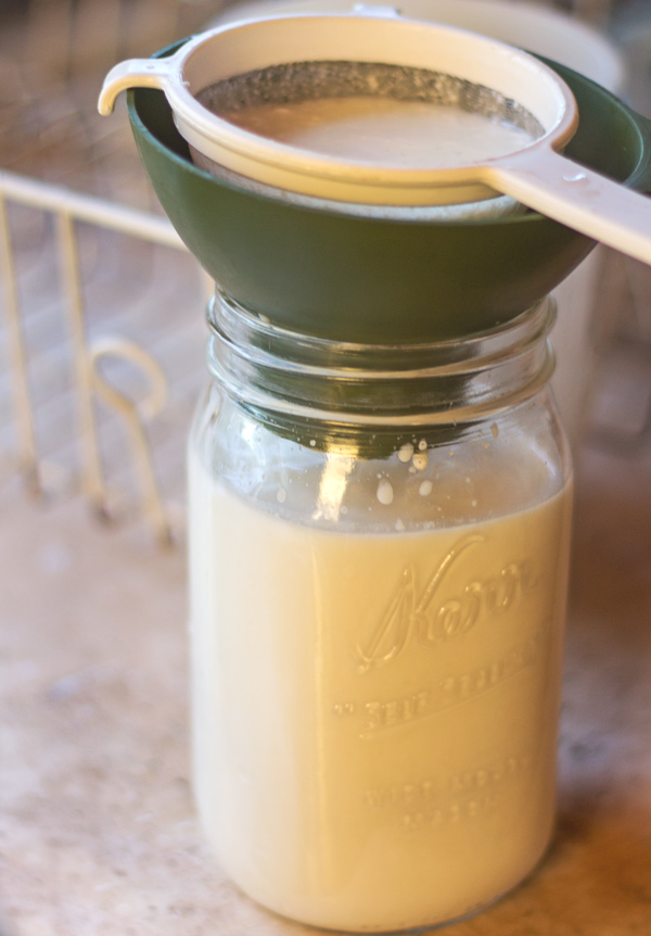 Milk Kefir Recipe and Tips, How To Make Milk Kefir
