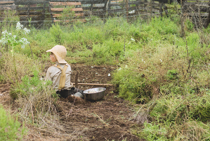 planting-garlic