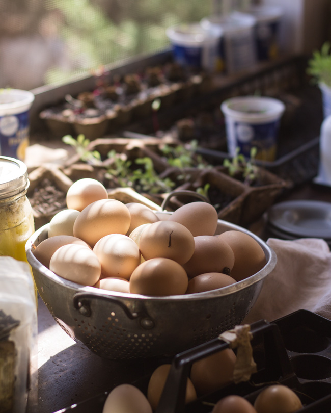 planting-garlic4