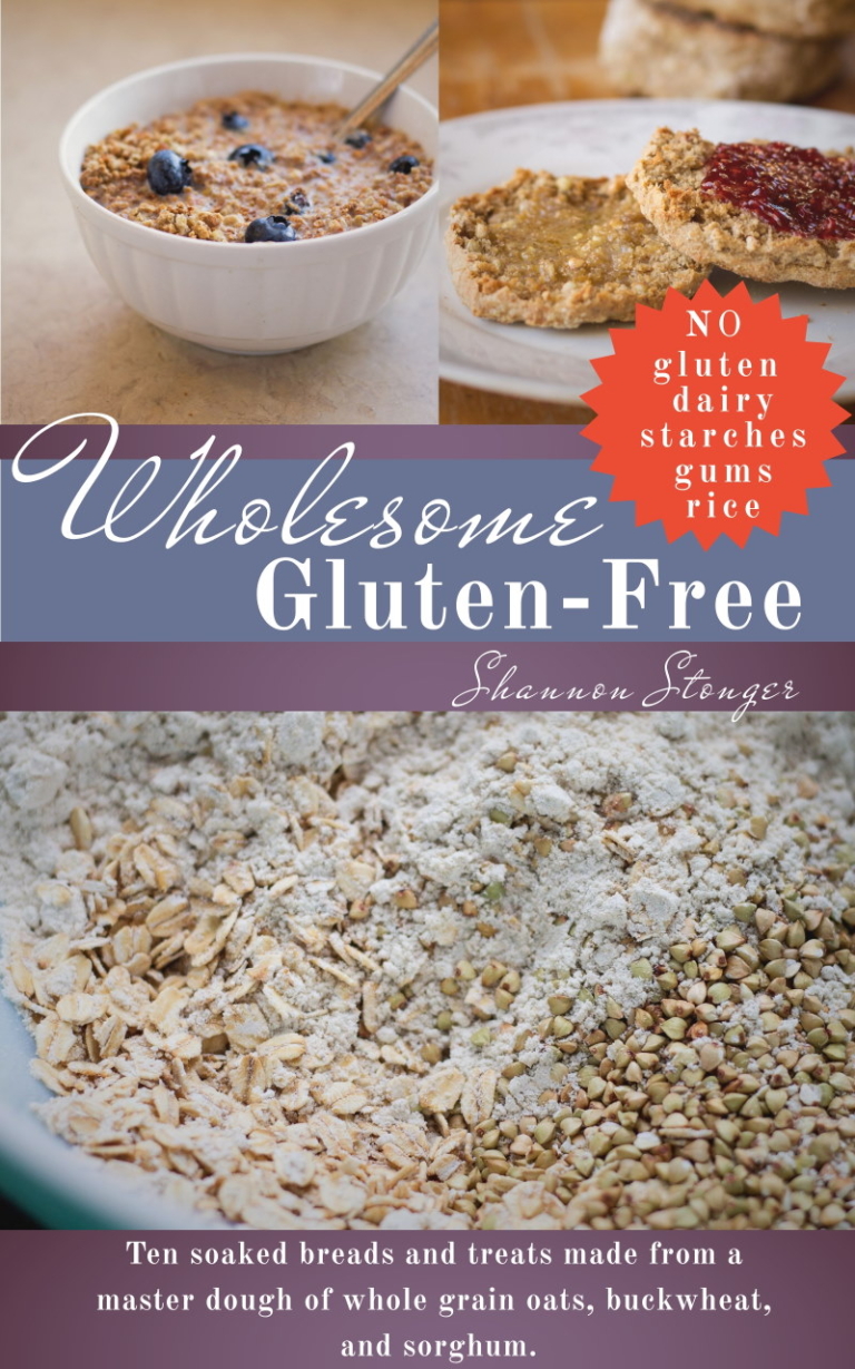 Now Available: The Wholesome Gluten-Free Cookbook (Only $2.50!)